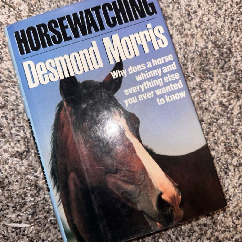 Horsewatching