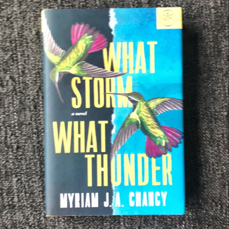 What Storm, What Thunder