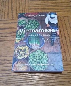 Lonely Planet Vietnamese Phrasebook and Dictionary 9