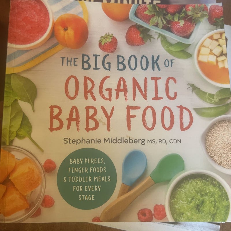 The Big Book of Organic Baby Food