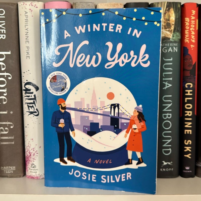 A Winter in New York
