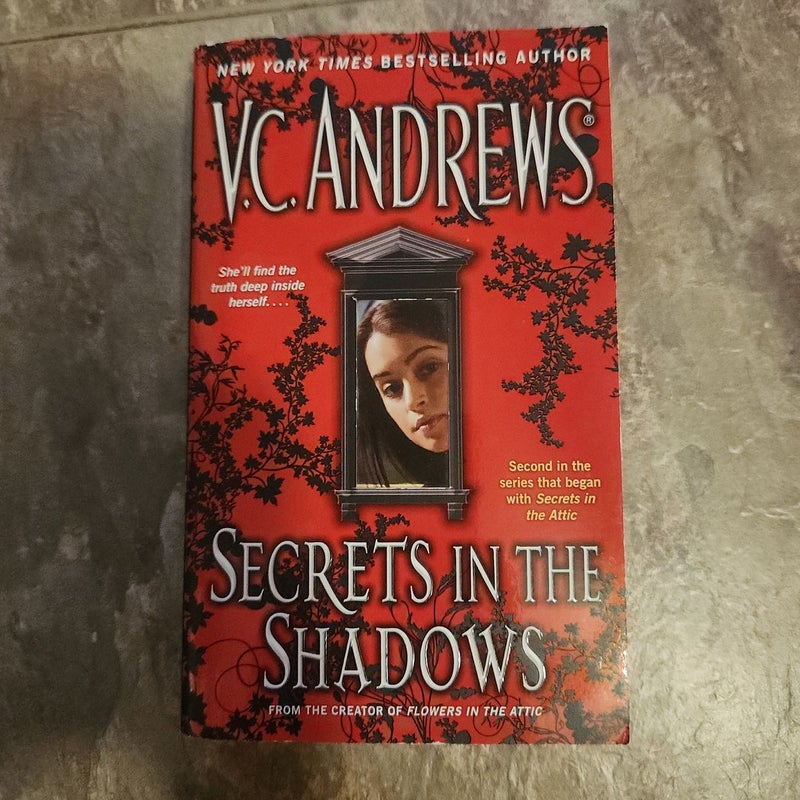 Secrets in the Shadows