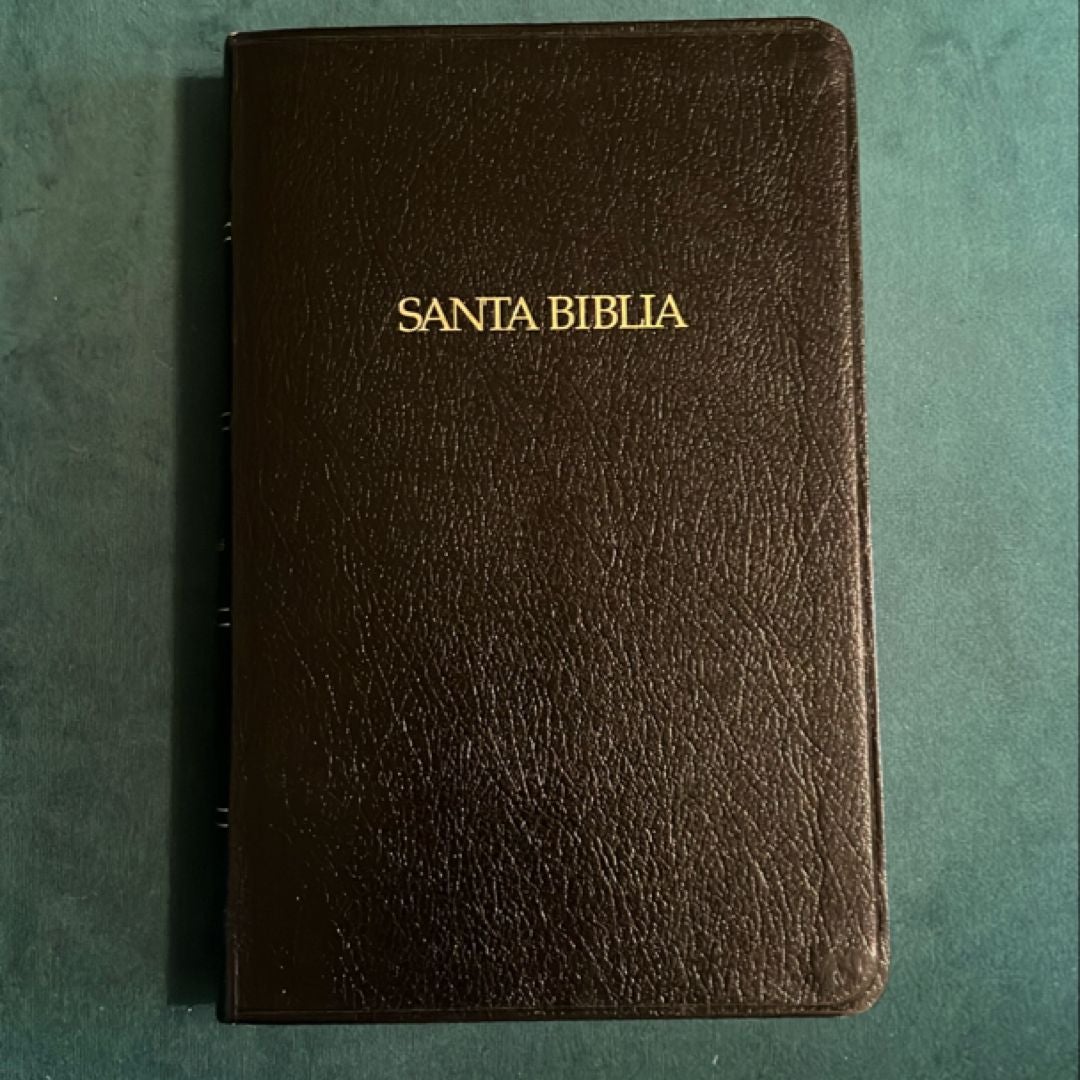 Santa Biblia