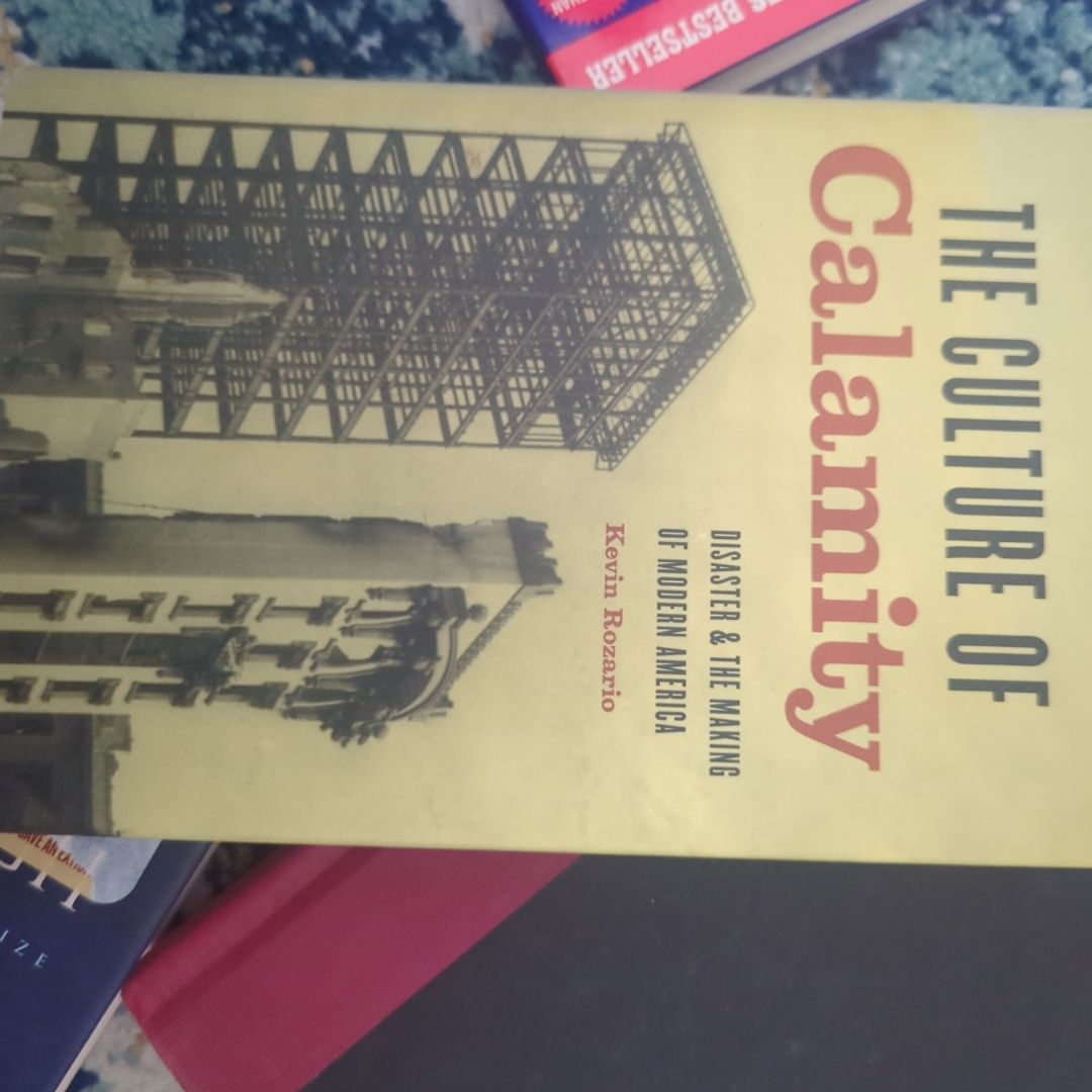 The Culture of Calamity by Kevin Rozario, Hardcover | Pangobooks