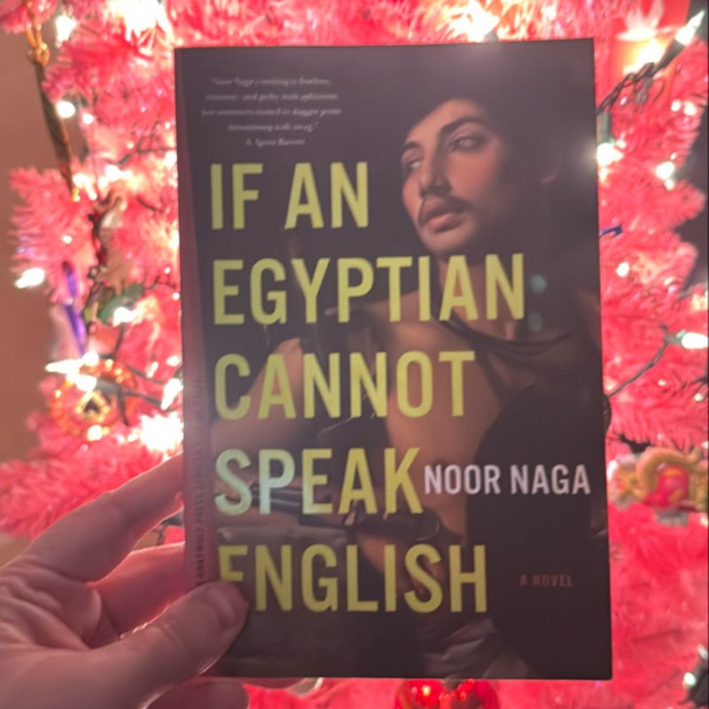 If an Egyptian Cannot Speak English