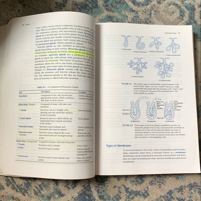 Anatomy and Physiology the Easy Way