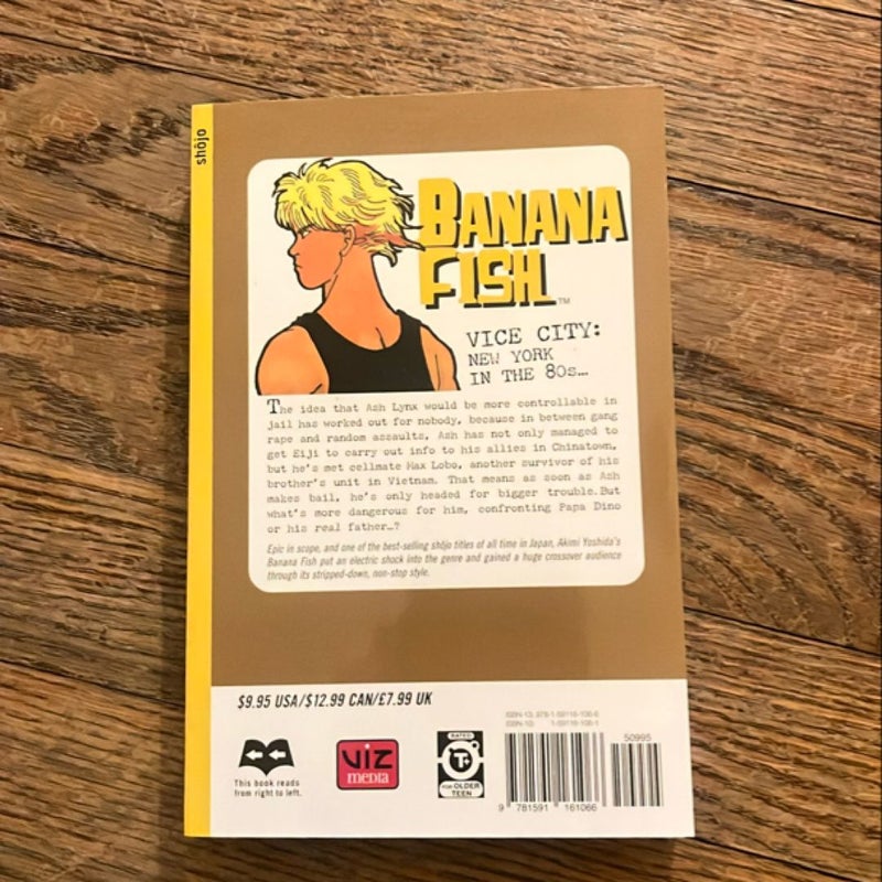 Banana Fish, Vol. 3