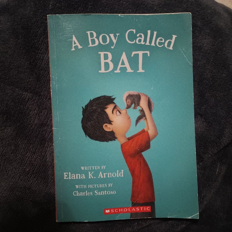 A Boy Called Bat