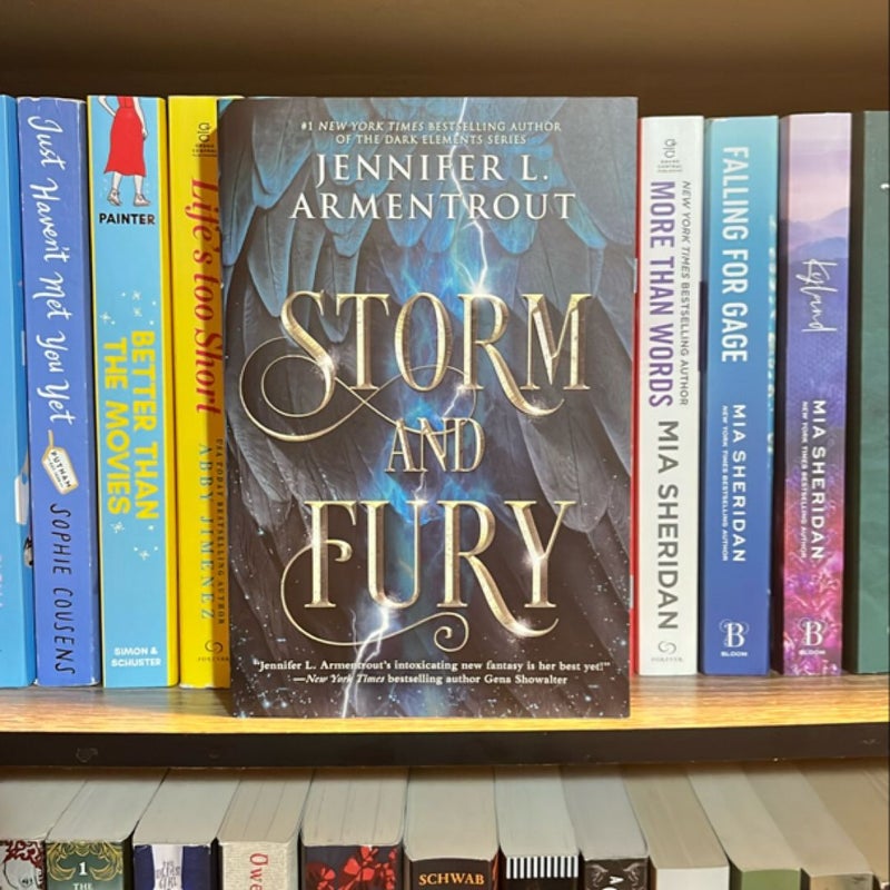 Storm and Fury