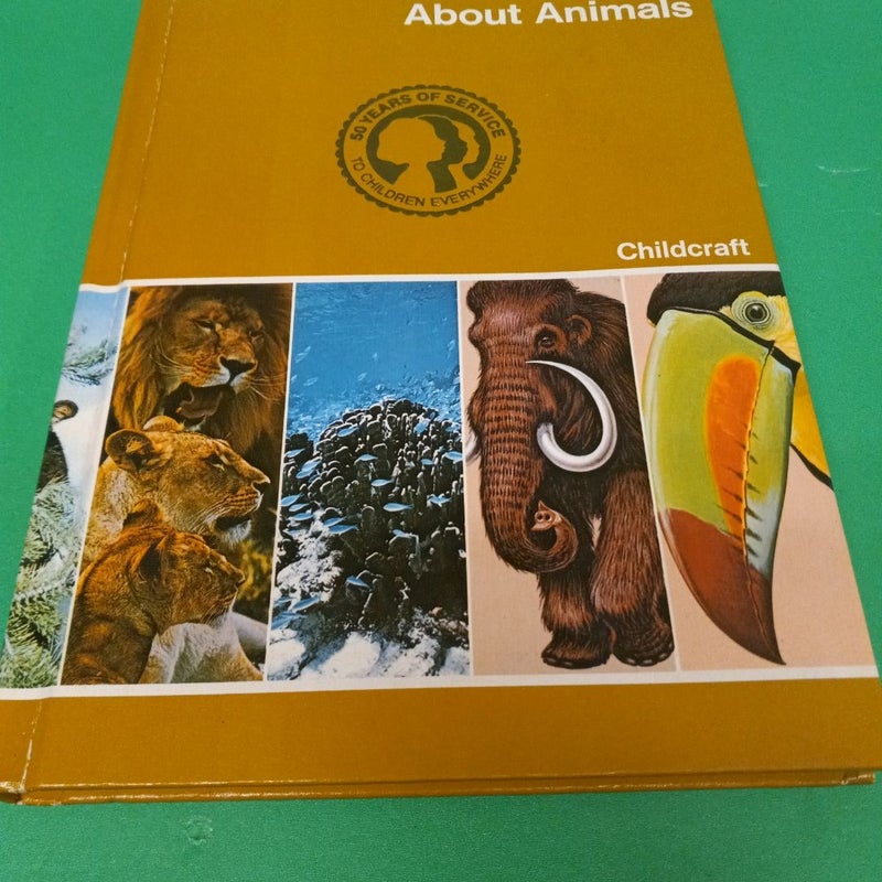 About Animals 
