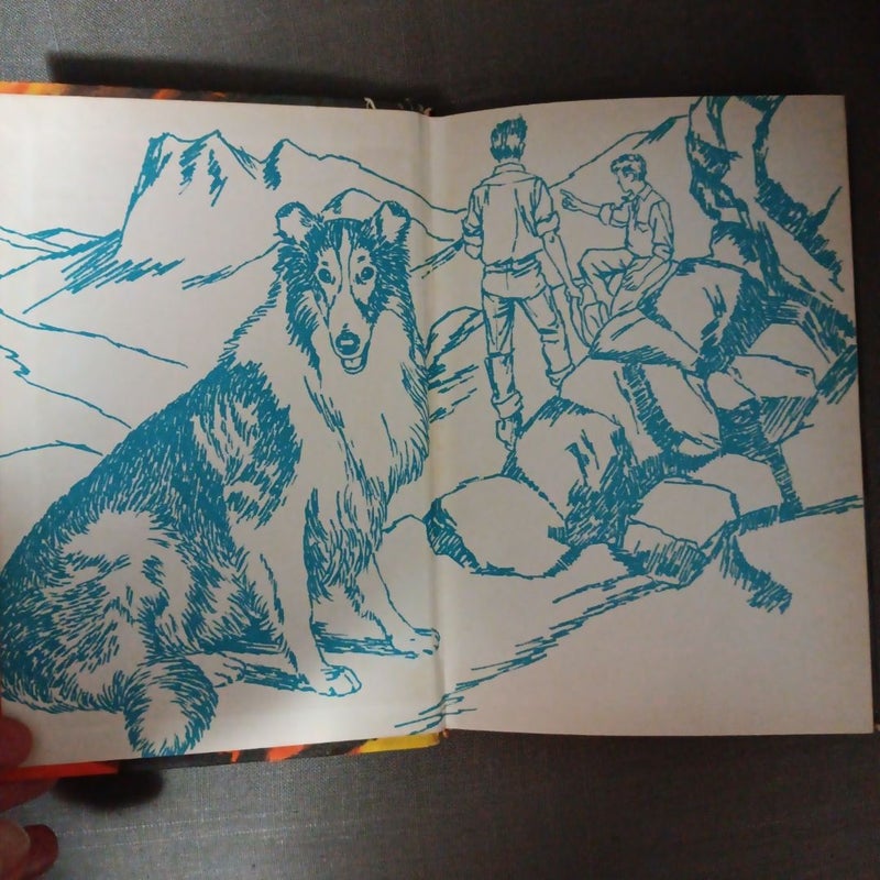 Lassie