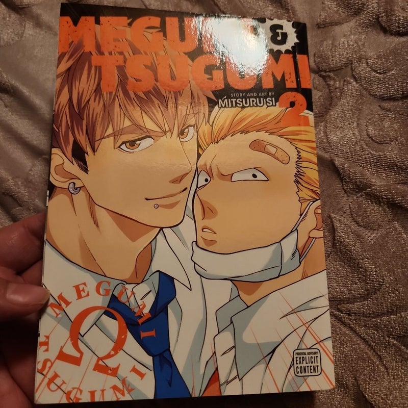 Megumi and Tsugumi, Vol. 2