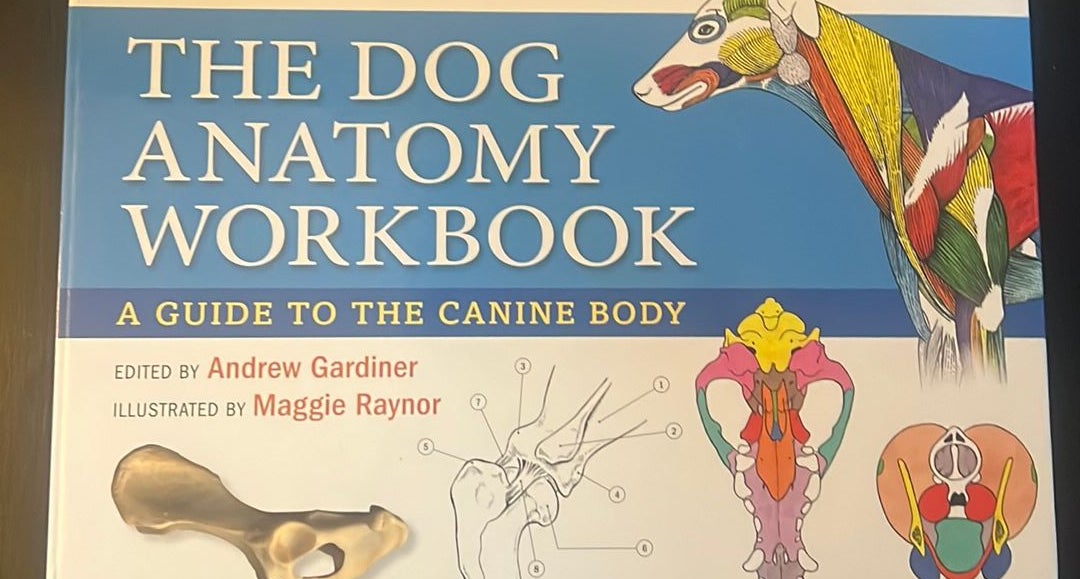 The dog fashion anatomy workbook