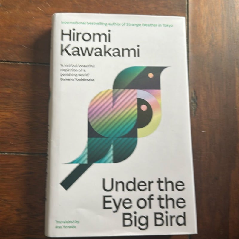 Under the Eye of the Big Bird