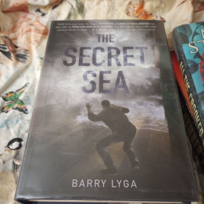 The Secret Sea