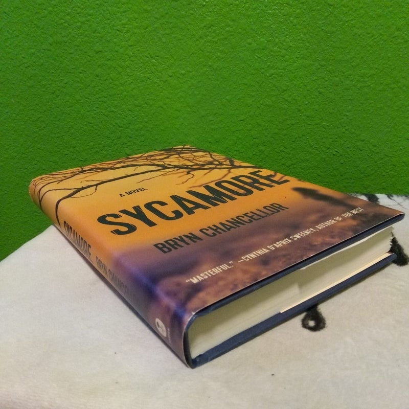 Sycamore - First Edition