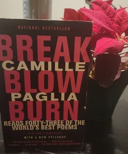 Break, Blow, Burn