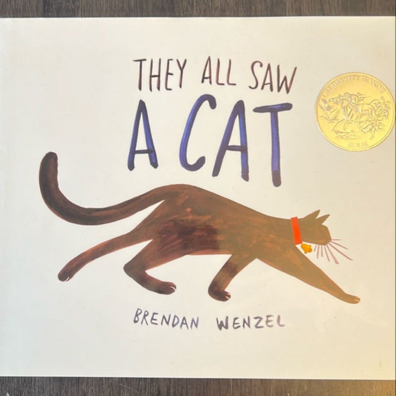 They All Saw a Cat (Cat Books for Kids, Beginning Reading Books, Preschool Prep Books)