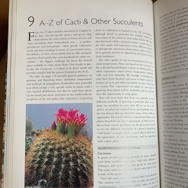 Cacti and Other Succulents