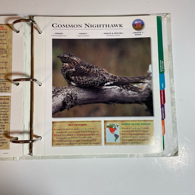 Wildlife Explorer Binder — Groups 1-8 with  100+ Cards & Tabs, Published 1998