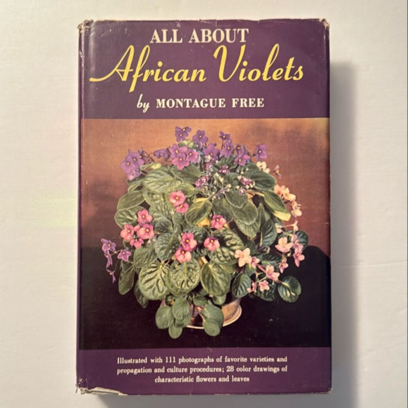 All About African Violets