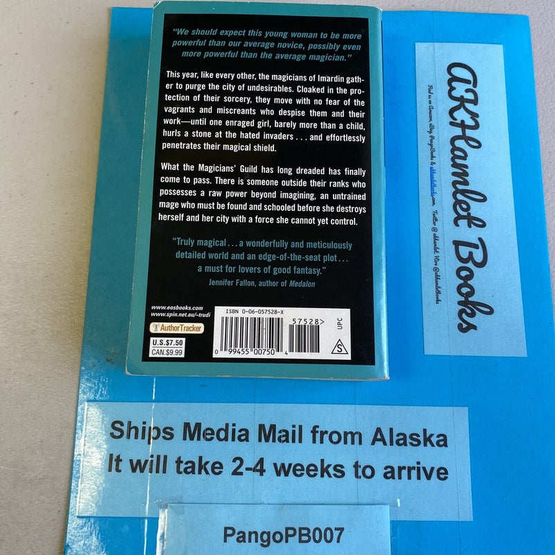 The Magicians' Guild