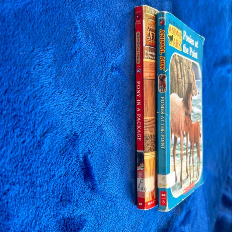 BOOK BUNDLE: Ponies at the Point and Pony in a Package