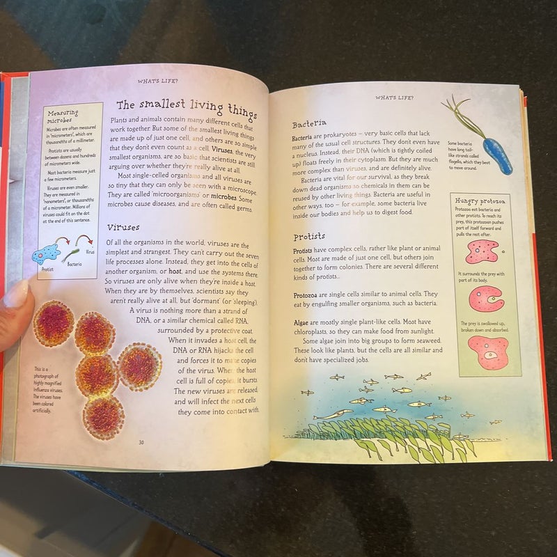 what-s-science-all-about-by-kate-davies