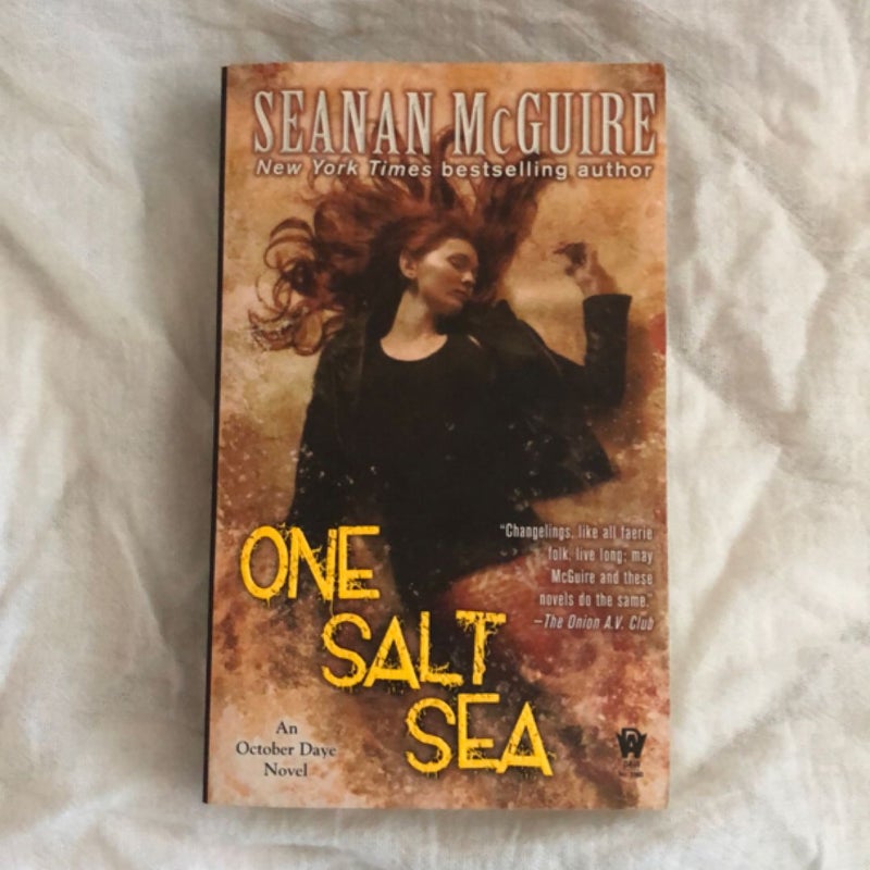One Salt Sea
