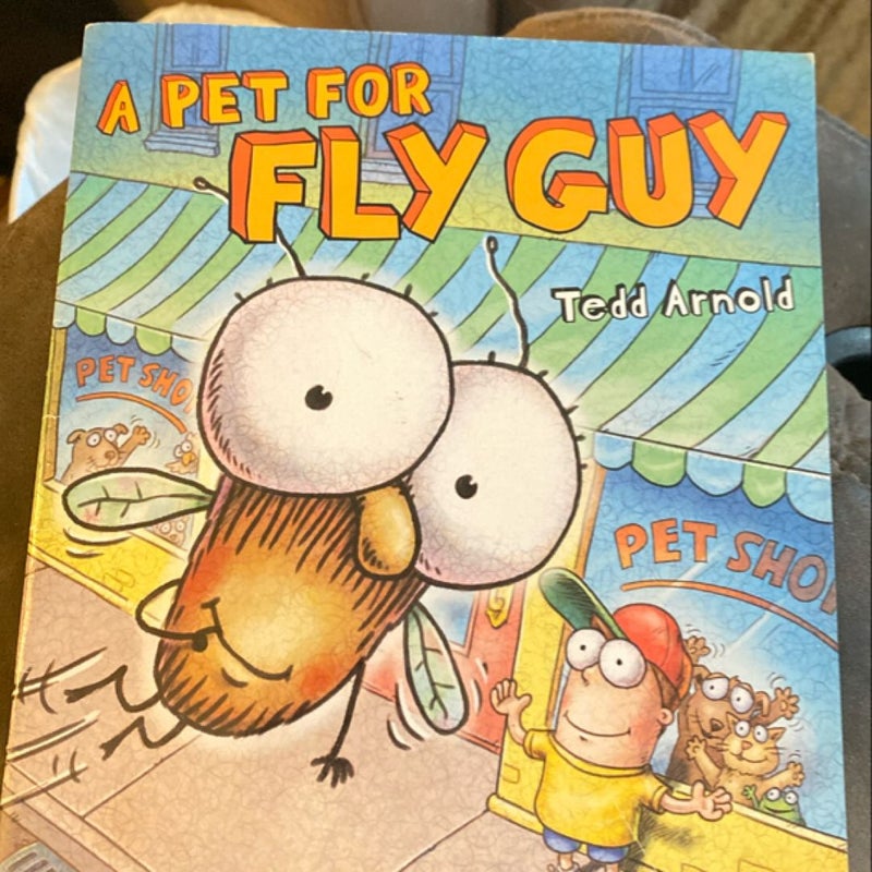 A pet for fly guy