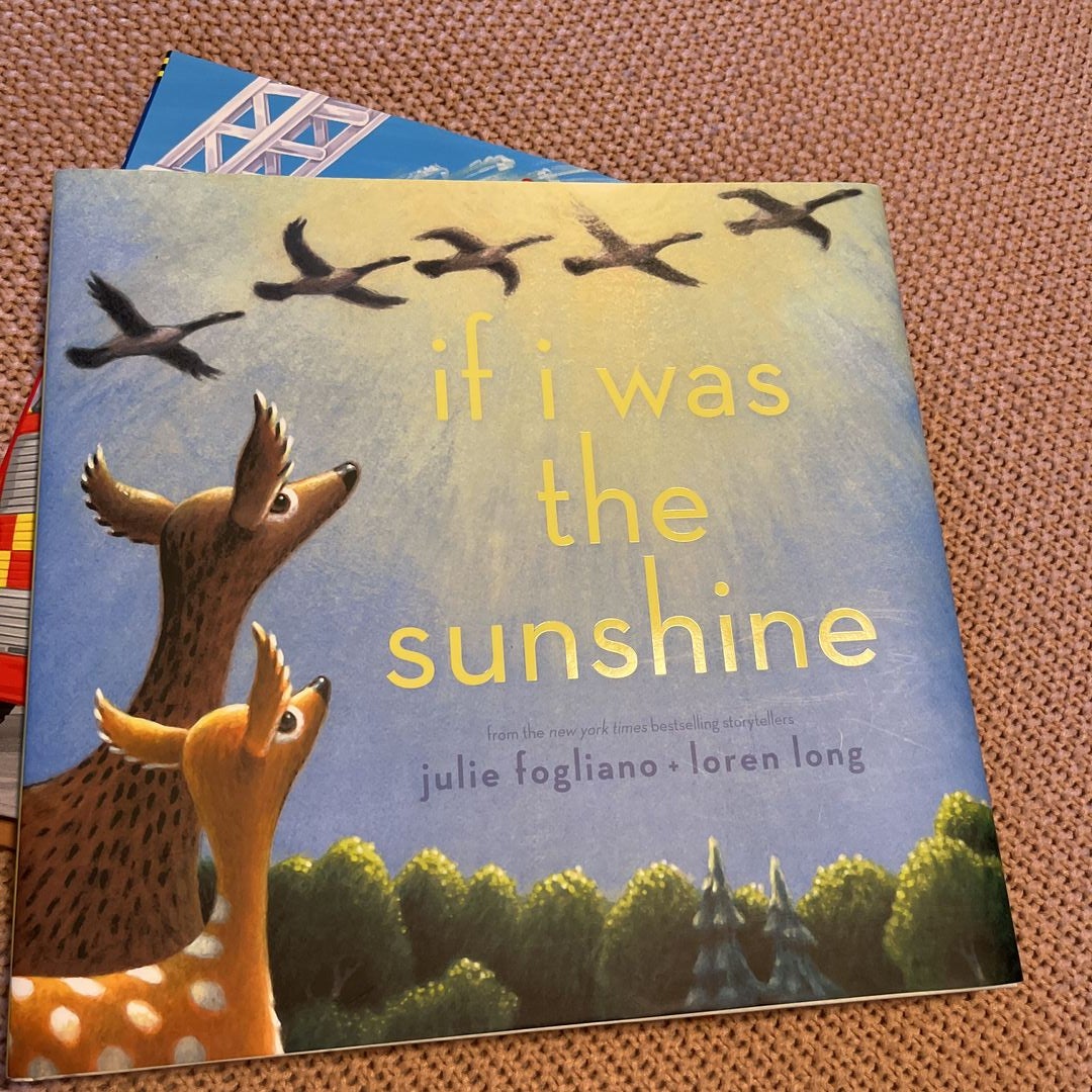 If I Was the Sunshine