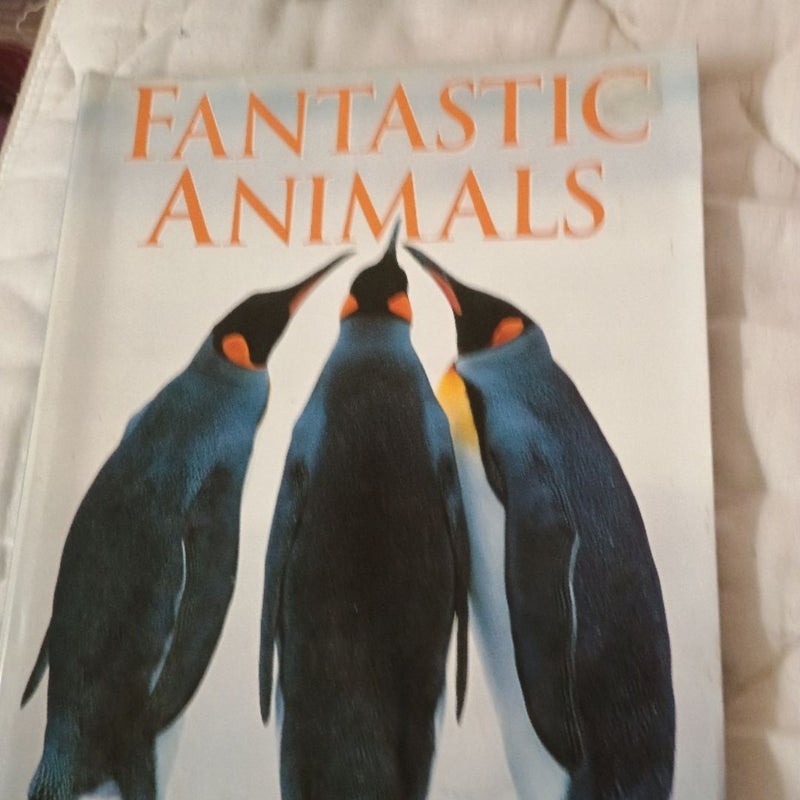 Fantastic Animals