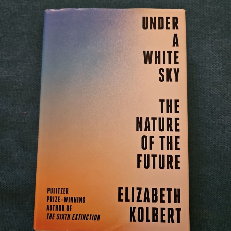 Under a White Sky