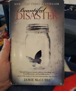 Beautiful Disaster