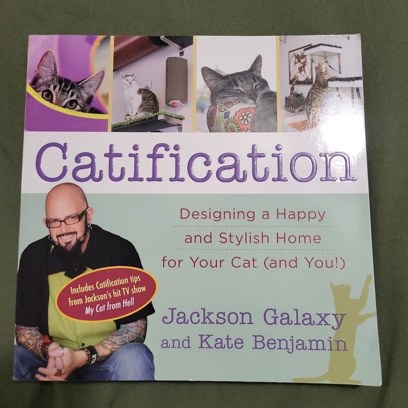 Catification