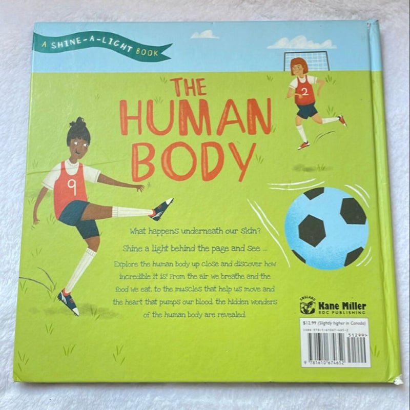 The Human Body