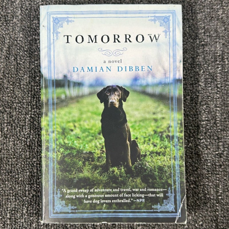 Tomorrow