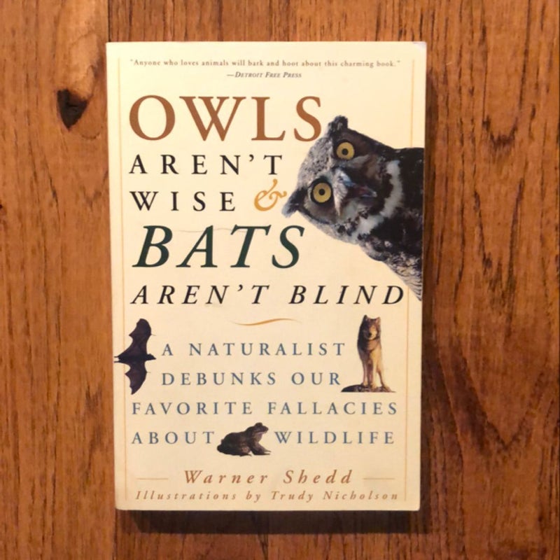 Owls Aren't Wise and Bats Aren't Blind