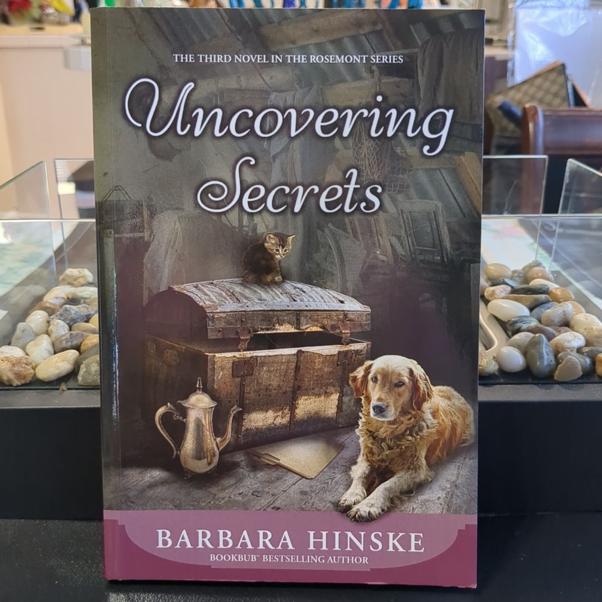 Uncovering Secrets by Barbara Hinske