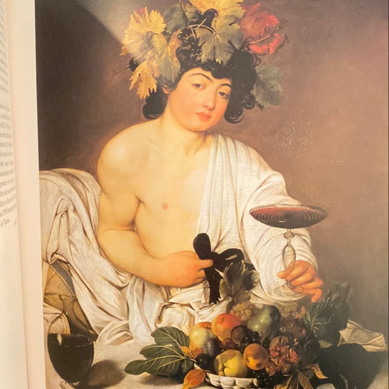 Paintings in the Uffizi & PittiGalleries