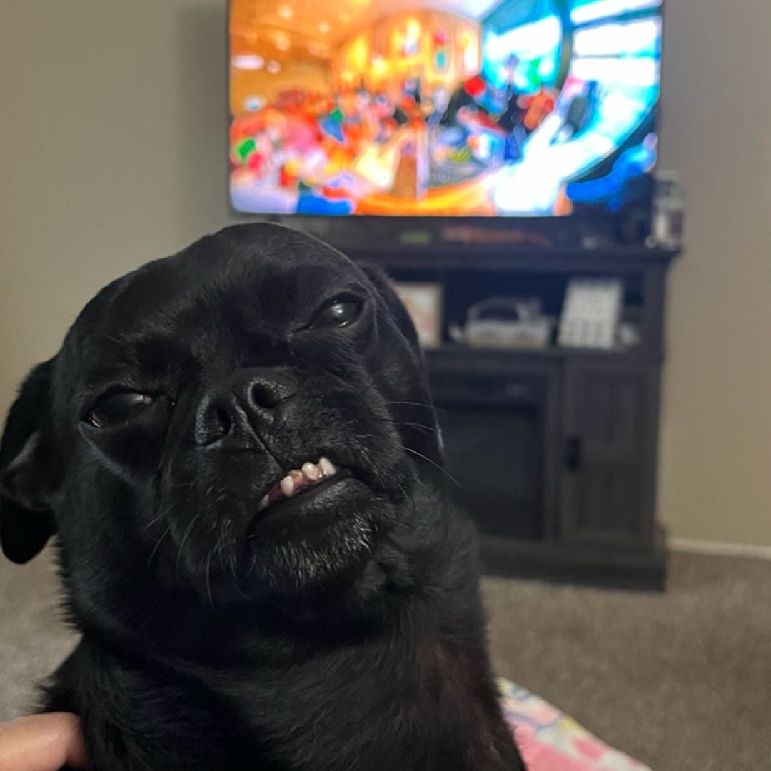 Crazyiris