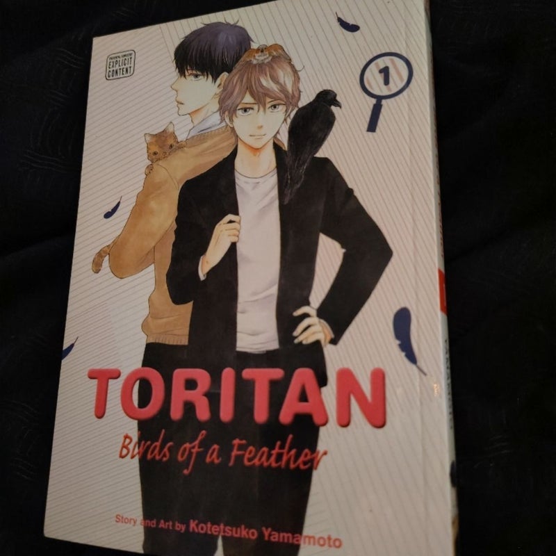 Toritan: Birds of a Feather, Vol. 1