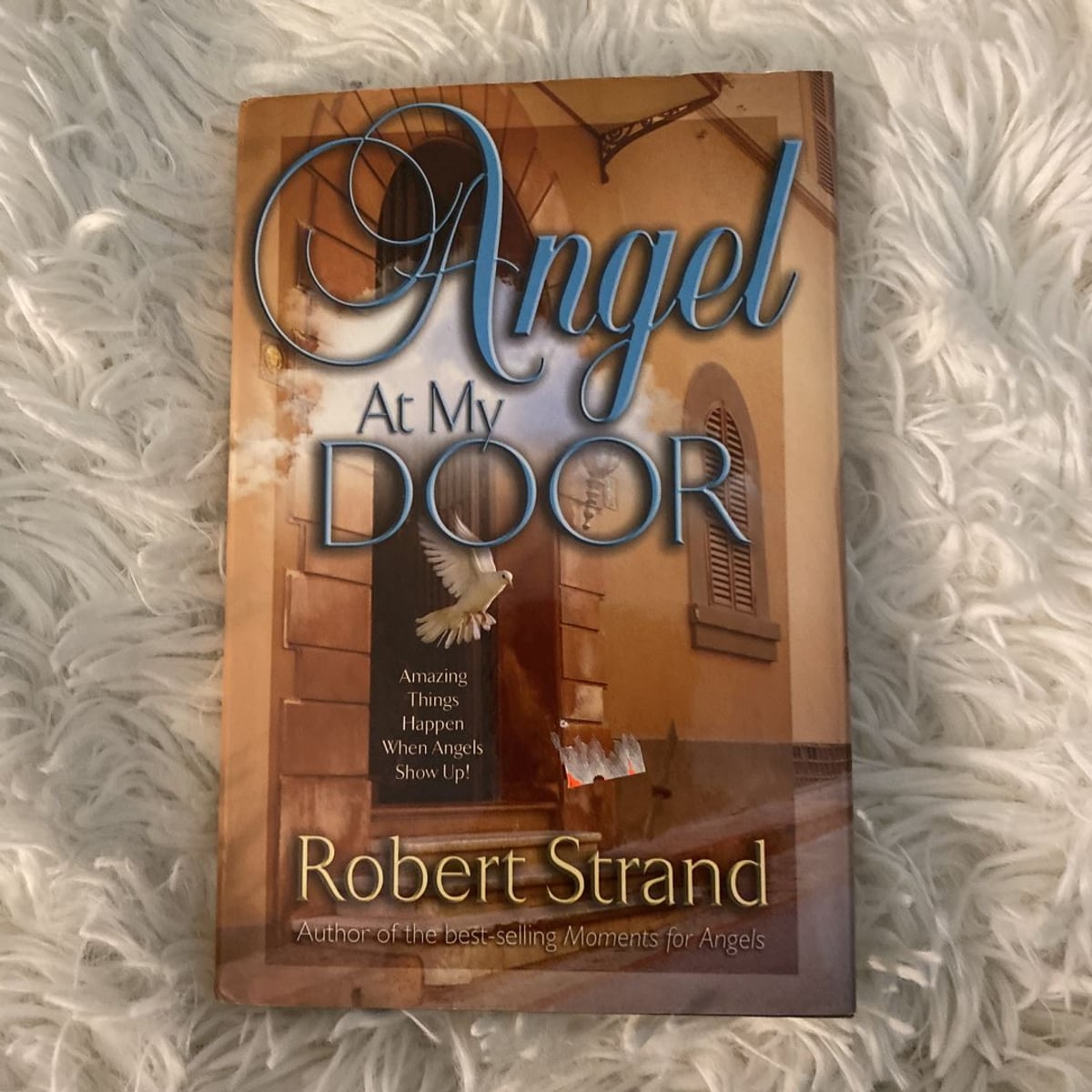 Angel at my Door by Robert Strand