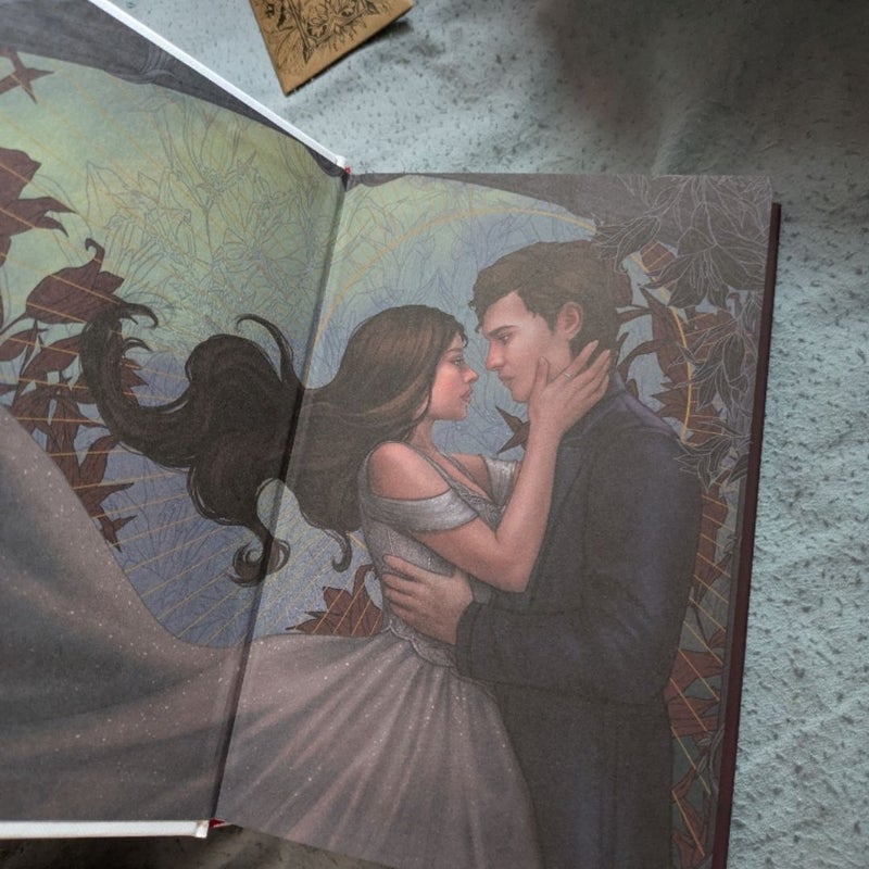 Seven Faceless Saints fairyloot edition with author letter