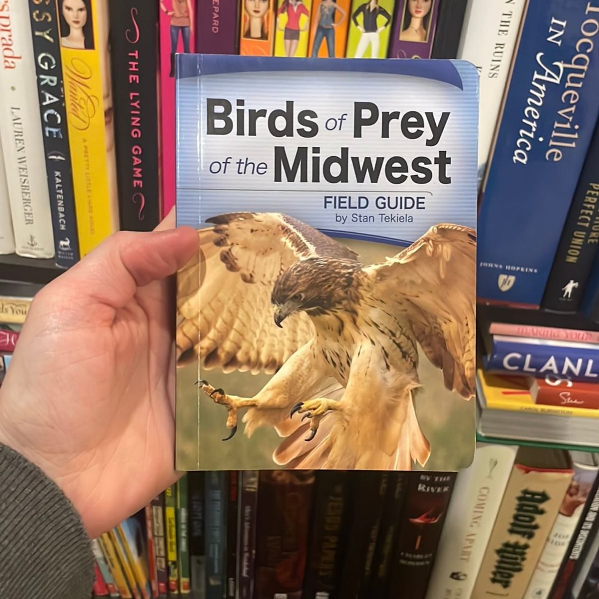 Birds of Prey of the Midwest Field Guide by Stan