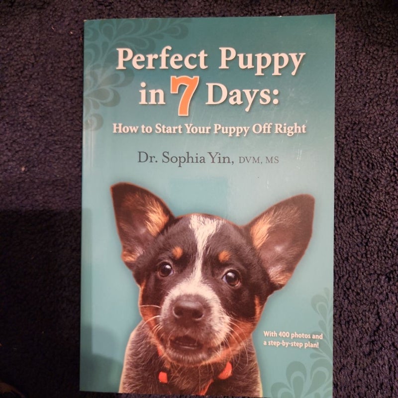 Perfect Puppy in 7 Days 