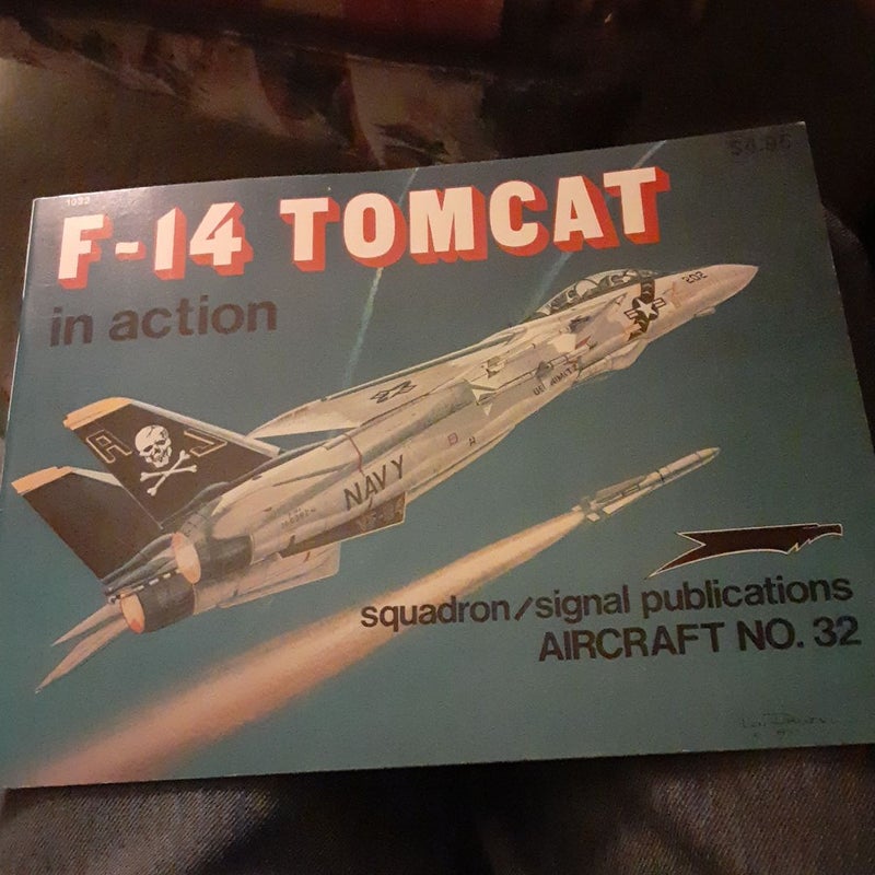 F-14 Tomcat in Action