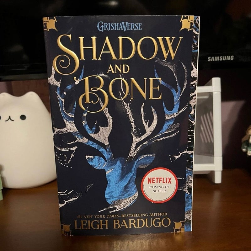 Shadow and Bone, Siege and Storm book set