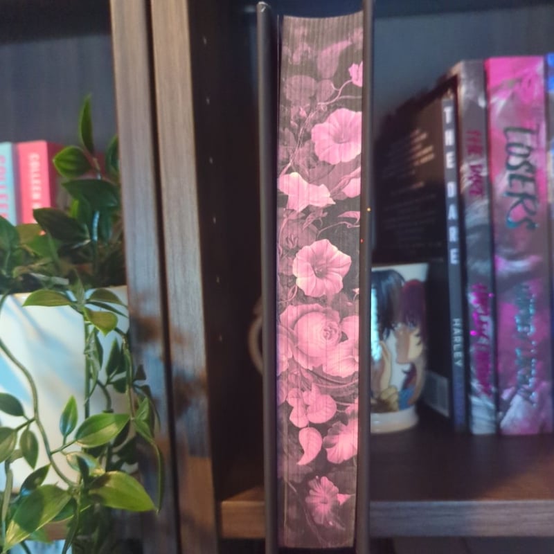 Immortal Consequences