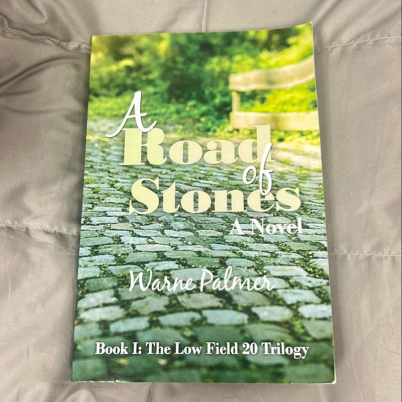 A Road of Stones